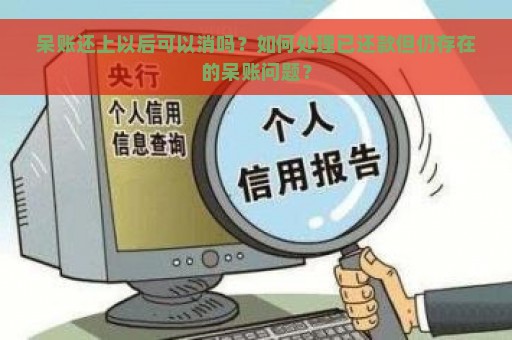 呆账还上以后可以消吗？如何处理已还款但仍存在的呆账问题？