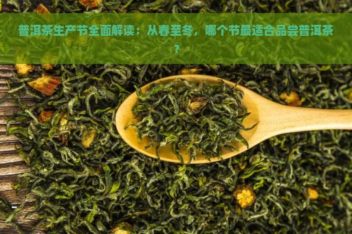 普洱茶生产节全面解读：从春至冬，哪个节最适合品尝普洱茶？