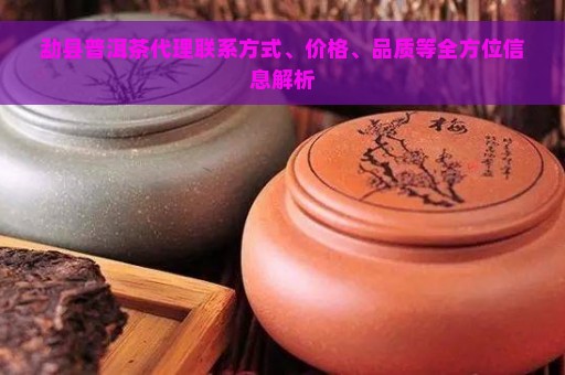 勐县普洱茶代理联系方式、价格、品质等全方位信息解析