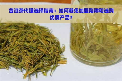 普洱茶代理选择指南：如何避免加盟陷阱和选购优质产品？