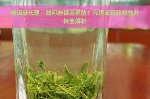 普洱茶代理：如何选择合适的？代理流程和收益分析全解析