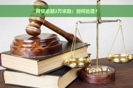 网贷逾期2万求助：如何处理？