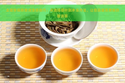 全面掌握熟普洱泡茶技巧：从选择茶叶到冲泡方法，让你品鉴更美味的普洱茶