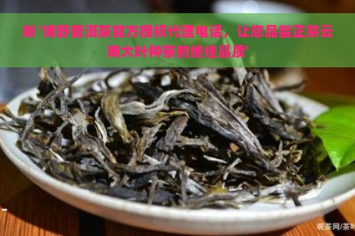 新 '博野普洱茶官方授权代理电话，让您品尝正宗云南大叶种茶的绝佳品质'