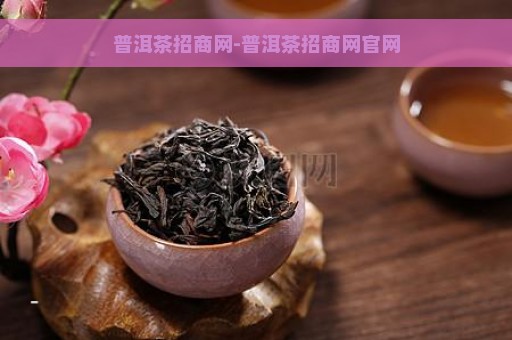 普洱茶招商网-普洱茶招商网官网