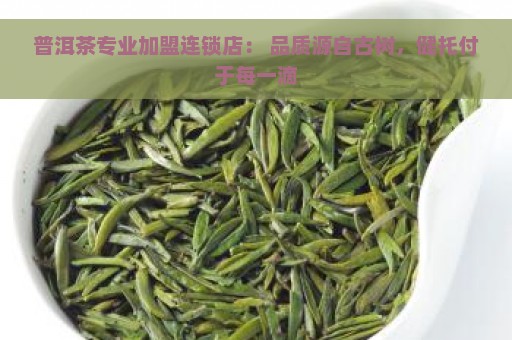 普洱茶专业加盟连锁店： 品质源自古树，健托付于每一滴