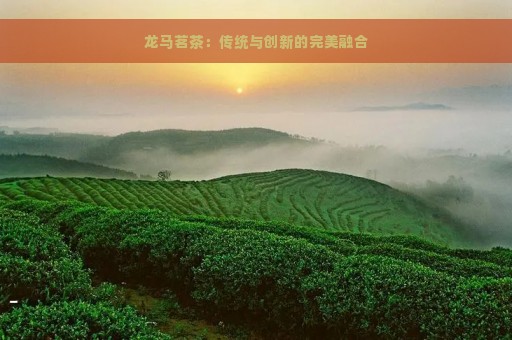 龙马茗茶：传统与创新的完美融合