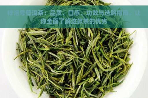 梓洛号普洱茶：品质、口感、功效与选购指南，让你全面了解这款茶的优劣