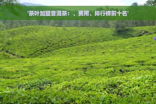 '茶叶加盟普洱茶：、费用、排行榜前十名'