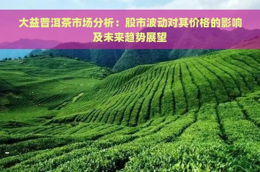 大益普洱茶市场分析：股市波动对其价格的影响及未来趋势展望