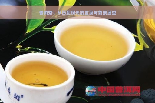 普洱茶：从历到现代的发展与前景展望