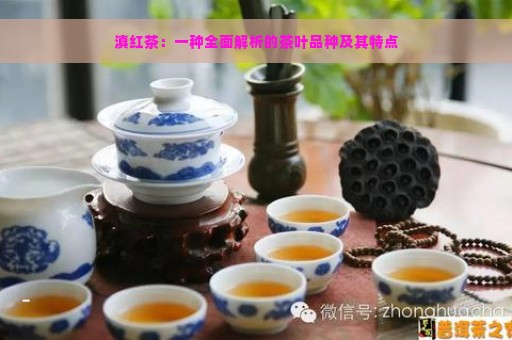 滇红茶：一种全面解析的茶叶品种及其特点