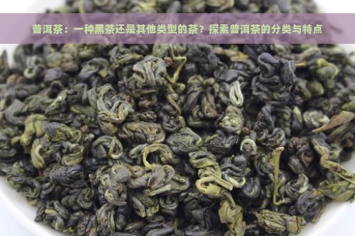 普洱茶：一种黑茶还是其他类型的茶？探索普洱茶的分类与特点