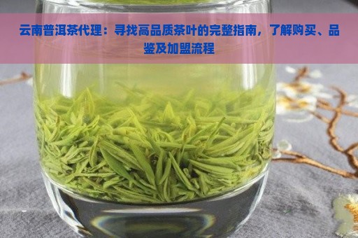 云南普洱茶代理：寻找高品质茶叶的完整指南，了解购买、品鉴及加盟流程