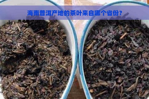 海南普洱产地的茶叶来自哪个省份？