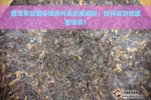 普洱茶加盟详细条件及流程解析：如何成功加盟普洱茶？