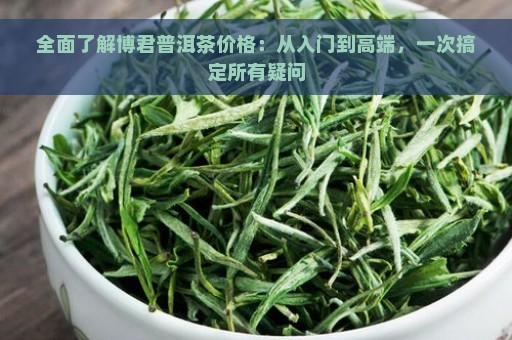 全面了解博君普洱茶价格：从入门到高端，一次搞定所有疑问