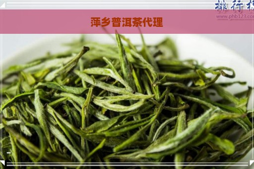 萍乡普洱茶代理