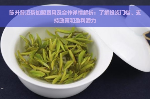 陈升普洱茶加盟费用及合作详情解析：了解投资门槛、支持政策和盈利潜力