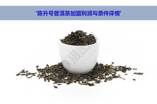 '陈升号普洱茶加盟利润与条件详情'