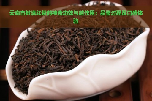 云南古树滇红茶的神奇功效与越作用：品鉴过程及口感体验