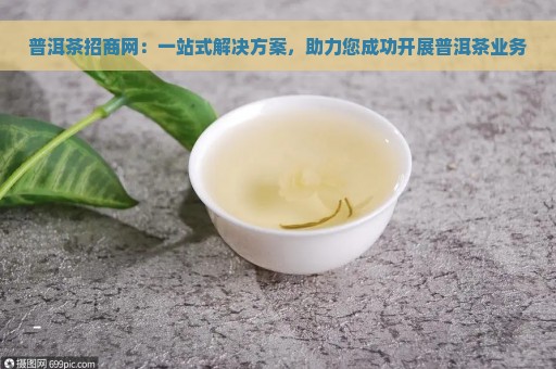 普洱茶招商网：一站式解决方案，助力您成功开展普洱茶业务