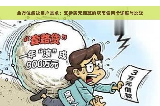 全方位解决用户需求：支持美元结算的双币信用卡详解与比较