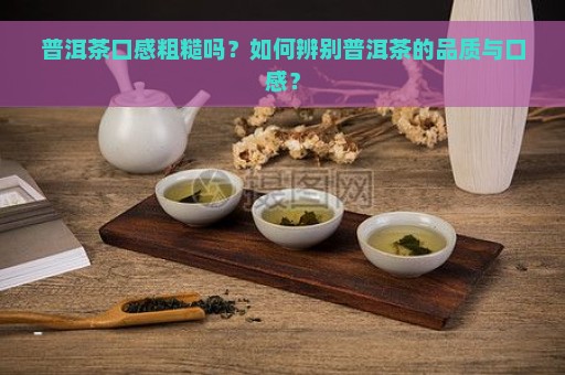 普洱茶口感粗糙吗？如何辨别普洱茶的品质与口感？