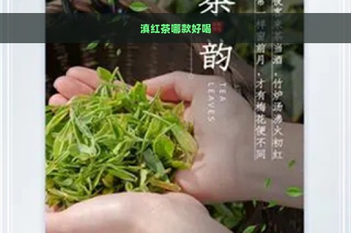 滇红茶哪款好喝