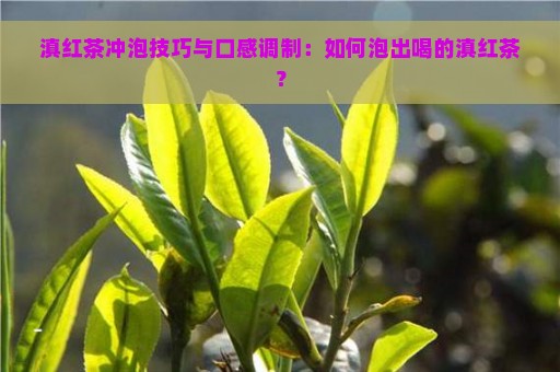 滇红茶冲泡技巧与口感调制：如何泡出喝的滇红茶？