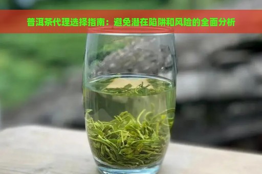 普洱茶代理选择指南：避免潜在陷阱和风险的全面分析