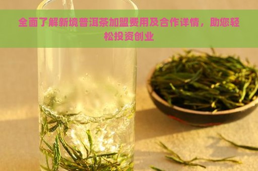 全面了解新境普洱茶加盟费用及合作详情，助您轻松投资创业