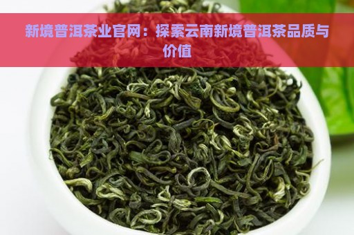 新境普洱茶业官网：探索云南新境普洱茶品质与价值