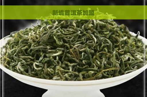 新境普洱茶加盟