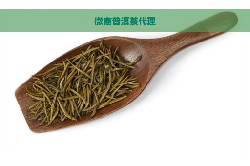 微商普洱茶代理