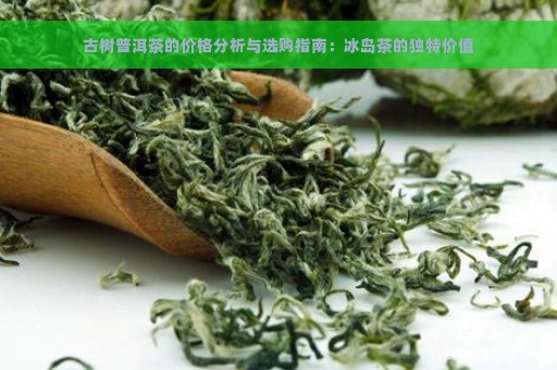 古树普洱茶的价格分析与选购指南：冰岛茶的独特价值