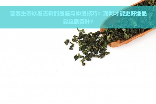 普洱生茶冰岛古树的品鉴与冲泡技巧：如何才能更好地品尝这款茶叶？