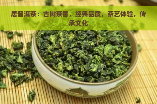 居普洱茶：古树茶香，经典品质，茶艺体验，传承文化