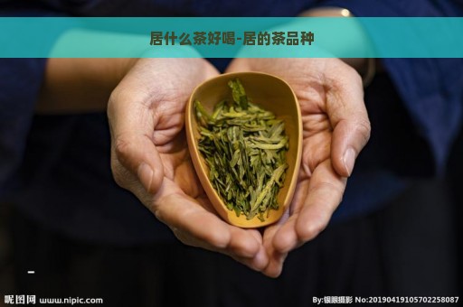 居什么茶好喝-居的茶品种