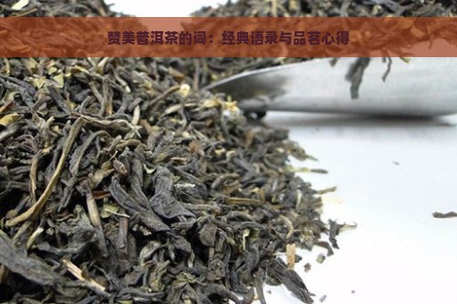 赞美普洱茶的词：经典语录与品茗心得