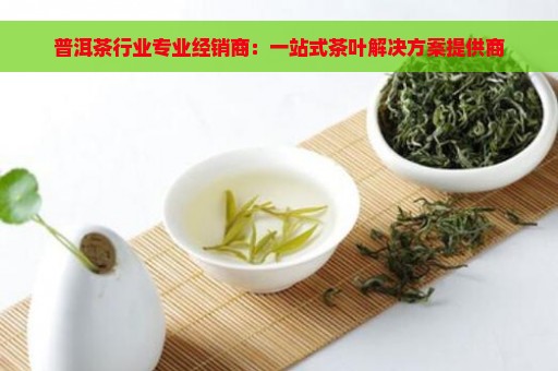 普洱茶行业专业经销商：一站式茶叶解决方案提供商