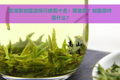 普洱茶加盟店排行榜前十名：哪家好？加盟条件是什么？