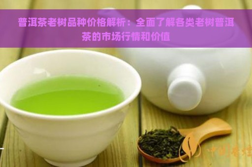 普洱茶老树品种价格解析：全面了解各类老树普洱茶的市场行情和价值