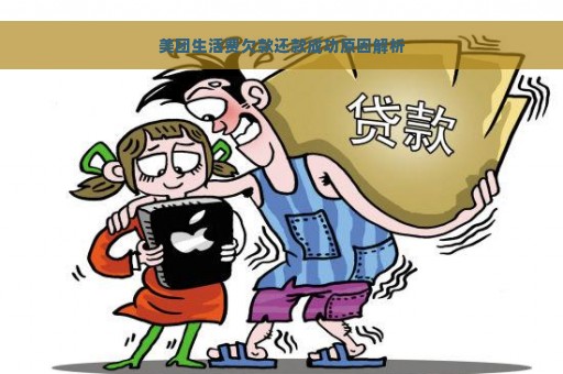 美团生活费欠款还款成功原因解析