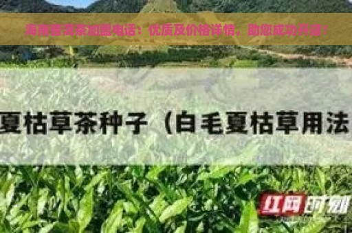 海南普洱茶加盟电话：优质及价格详情，助您成功开店！