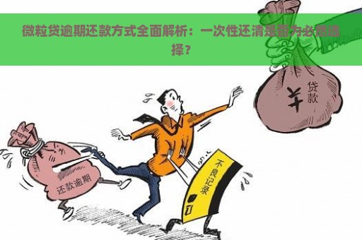 微粒贷逾期还款方式全面解析：一次性还清是否为必然选择？