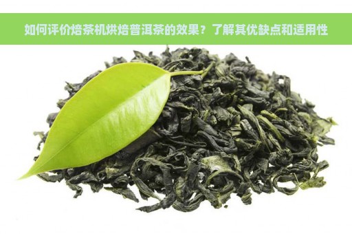 如何评价焙茶机烘焙普洱茶的效果？了解其优缺点和适用性