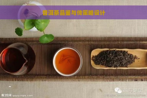 普洱茶品鉴与传策略设计