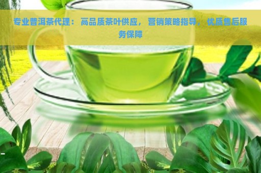 专业普洱茶代理： 高品质茶叶供应， 营销策略指导， 优质售后服务保障