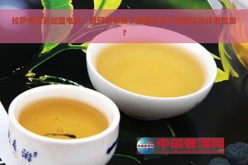 拉萨普洱茶加盟电话：如何联系及了解更多关于加盟该的详细信息？